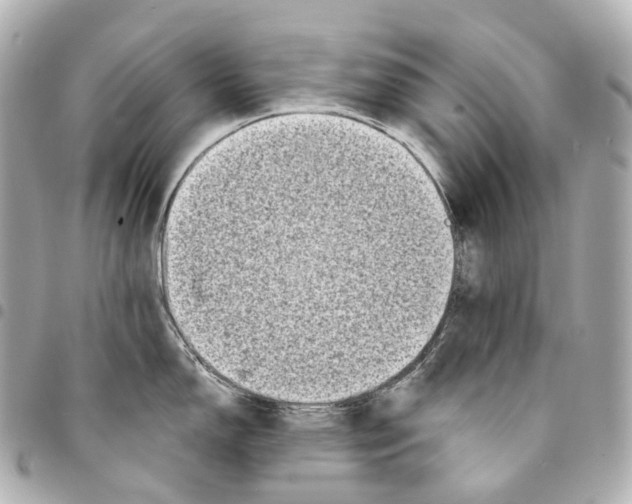 X0000094961150200712271714
