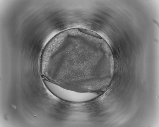 X0000094961151200712271714