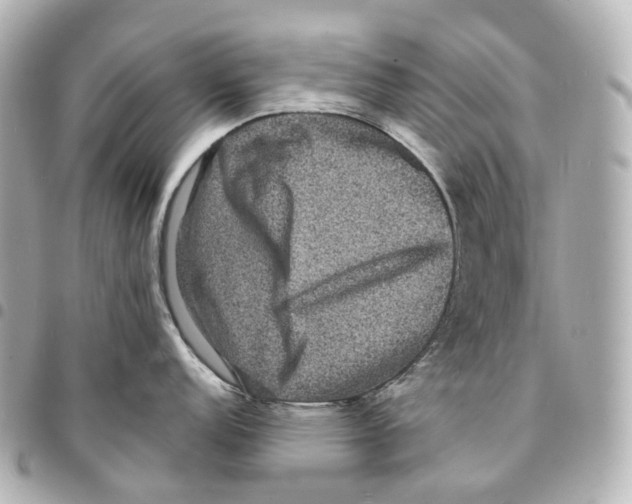 X0000094961152200712271714