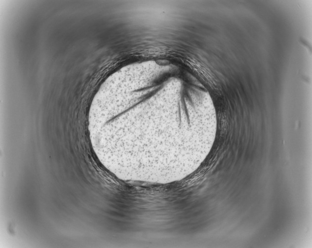 X0000094961153200712271713