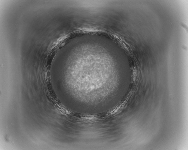 X0000094961157200712271713