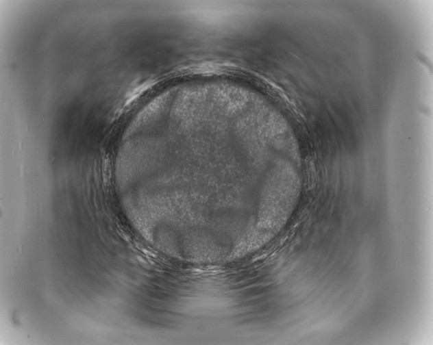 X0000094961158200712271713