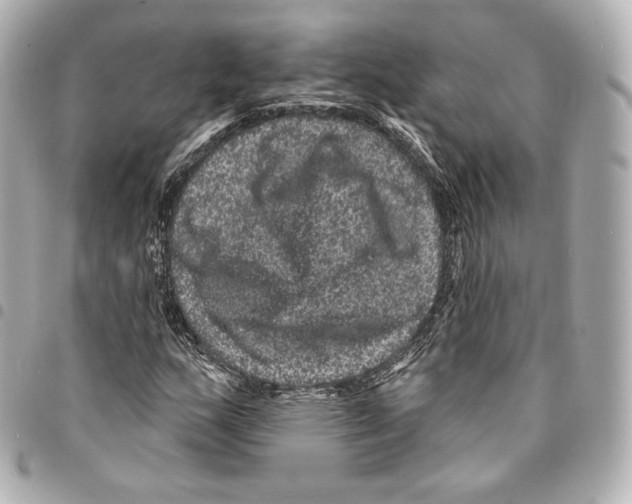 X0000094961159200712271713