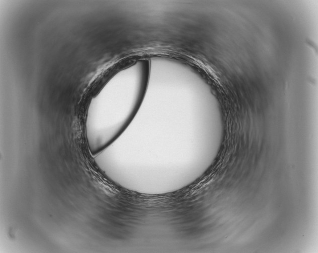 X0000094961160200712271713