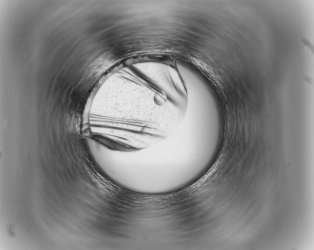 X0000094961161200712271713