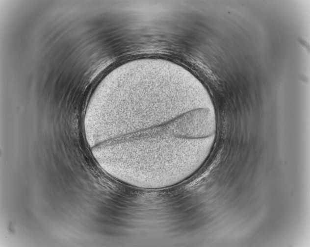 X0000094961162200712271713