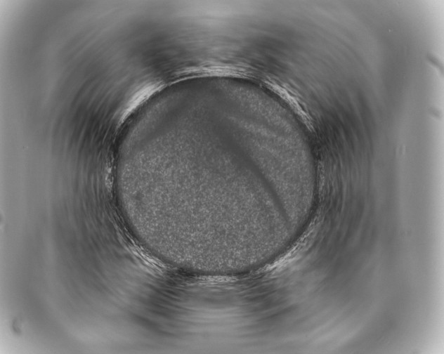 X0000094961163200712271713