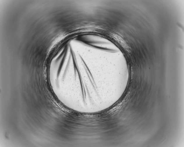 X0000094961164200712271713