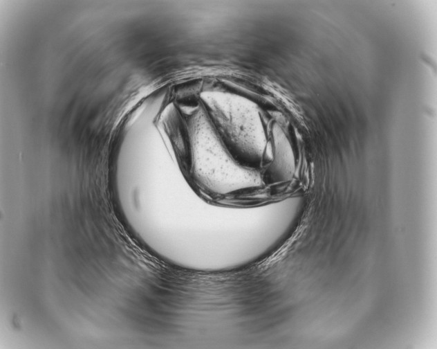 X0000094961165200712271713
