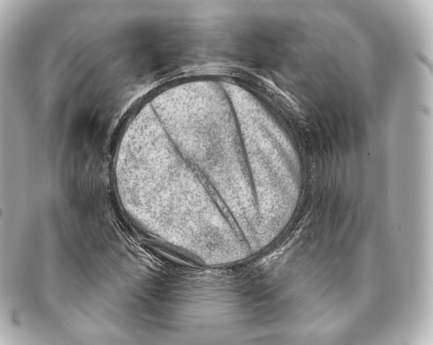 X0000094961166200712271713