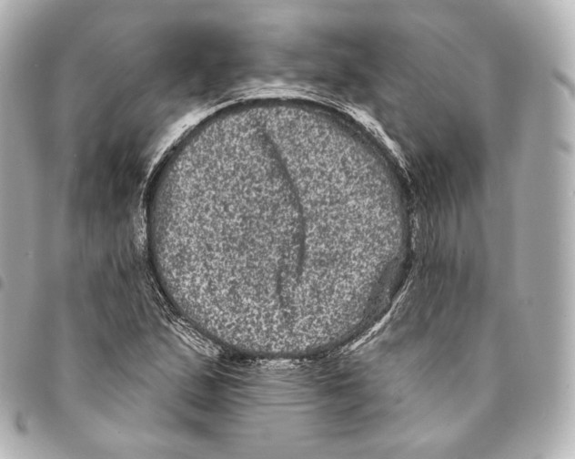 X0000094961167200712271713