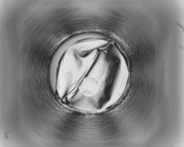 X0000094961169200712271713