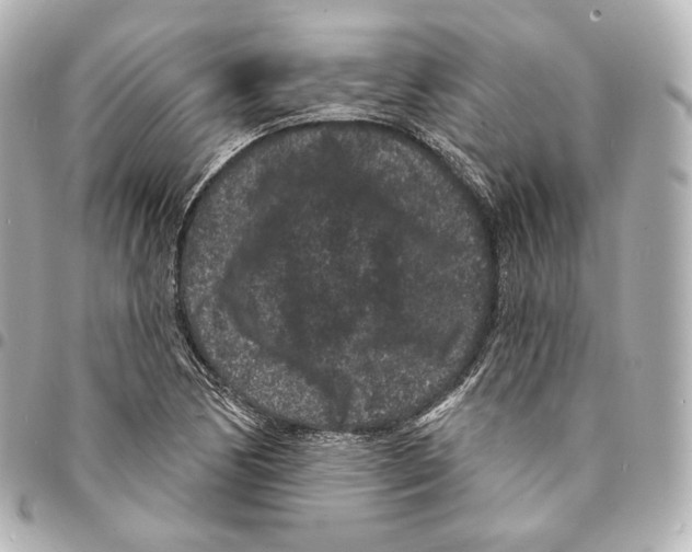 X0000094961170200712271713