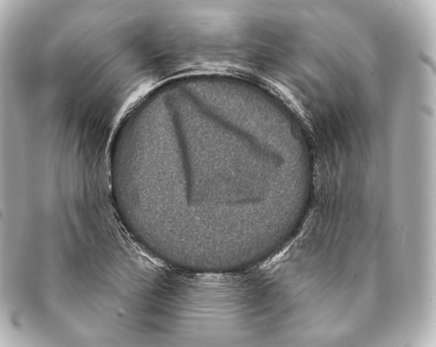 X0000094961172200712271713