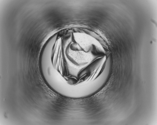 X0000094961173200712271713