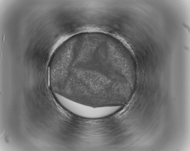 X0000094961175200712271713