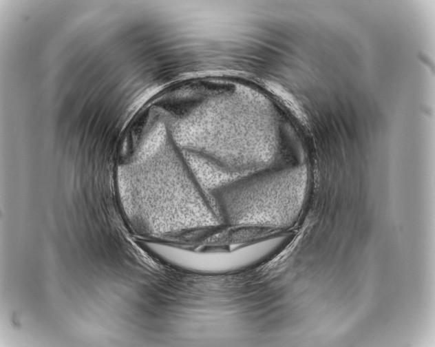 X0000094961177200712271713