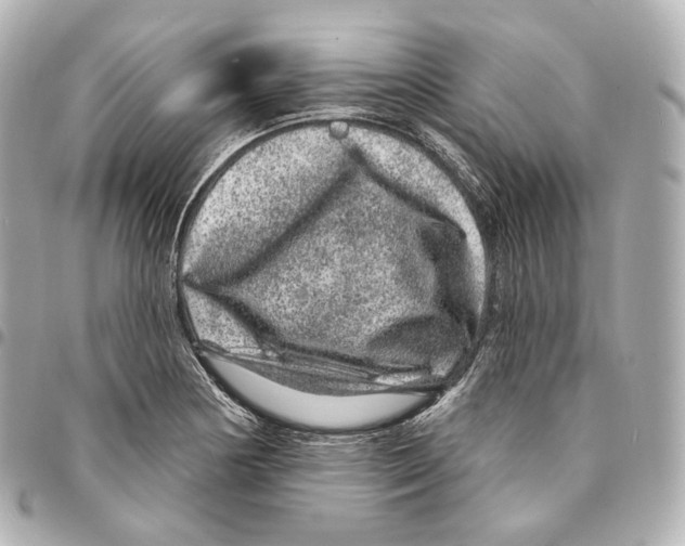 X0000094961178200712271713