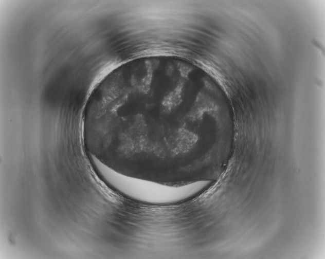 X0000094961179200712271713