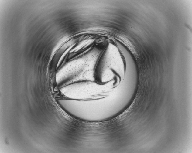 X0000094961180200712271713