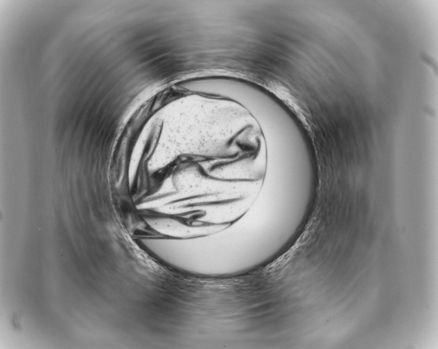 X0000094961181200712271713