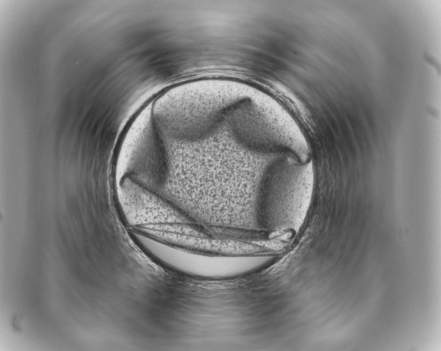X0000094961182200712271713