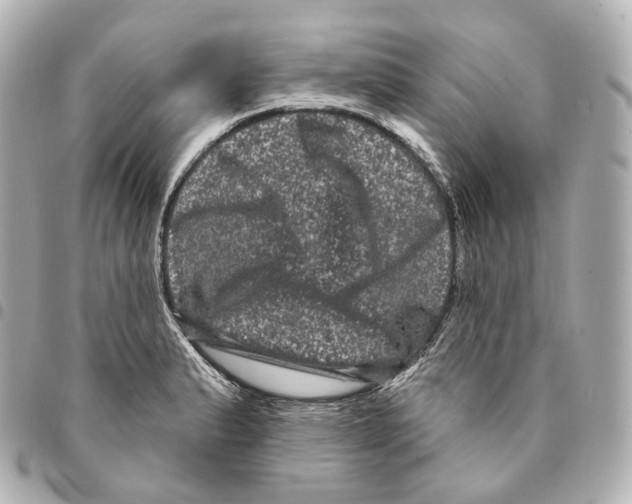 X0000094961183200712271713