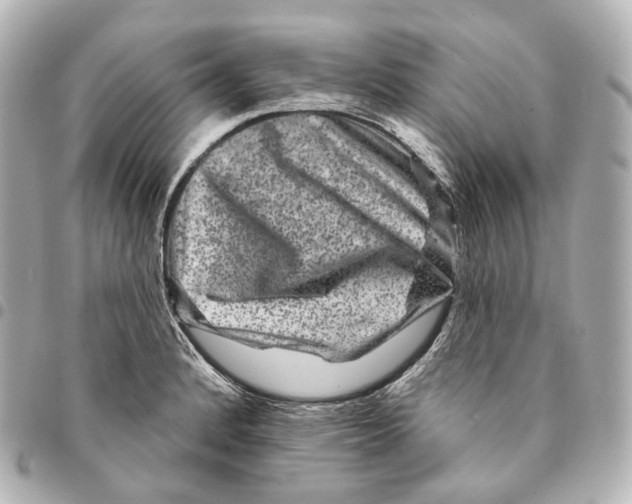 X0000094961184200712271713