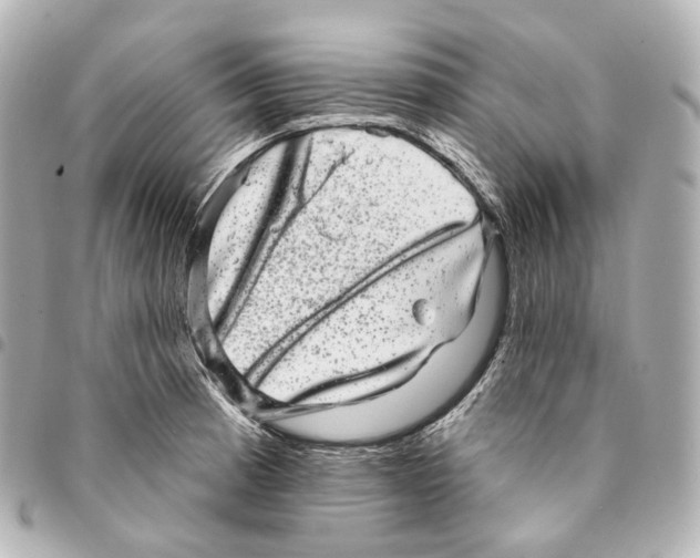 X0000094961185200712271713