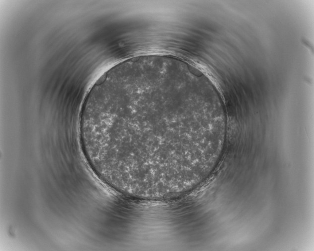 X0000094961187200712271713