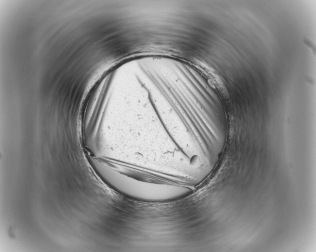 X0000094961188200712271713