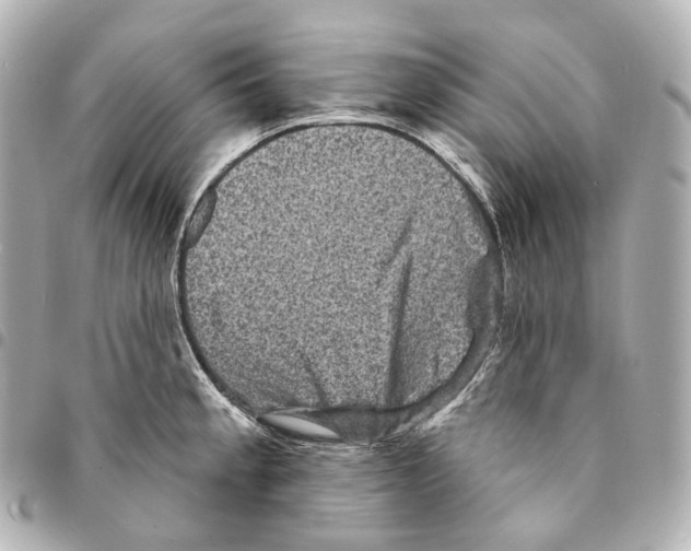 X0000094961189200712271713