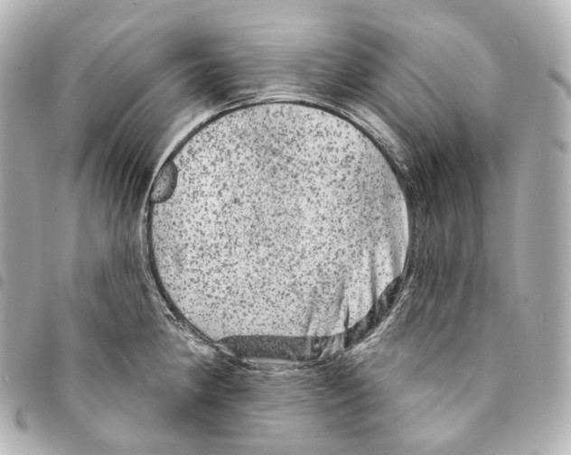 X0000094961190200712271713