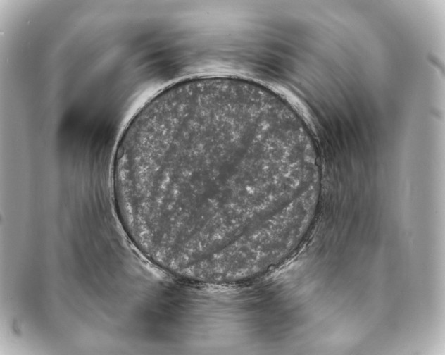 X0000094961191200712271713