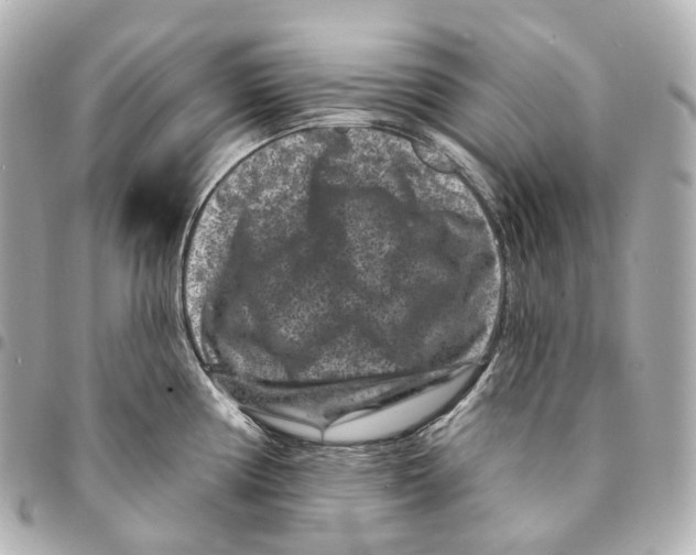 X0000094961194200712271713