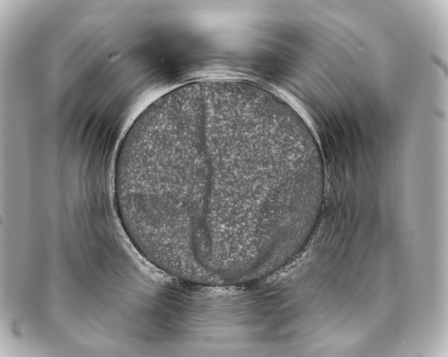 X0000094961195200712271713