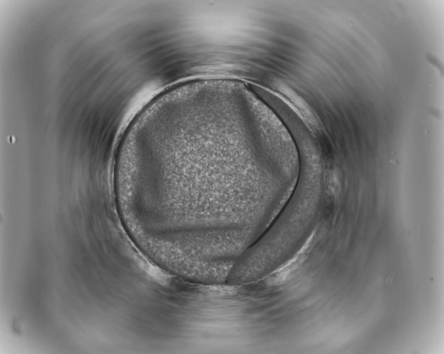 X0000094961196200712271713