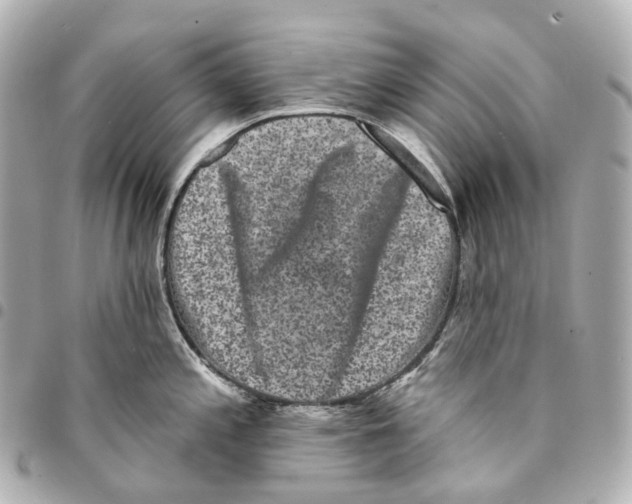 X0000094961197200712271713