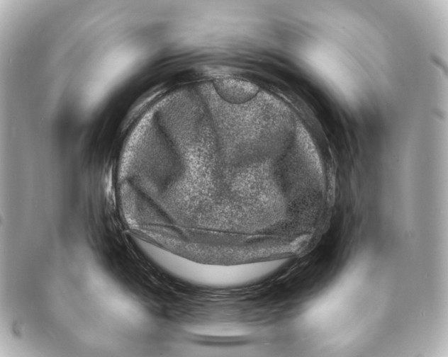 X0000094961198200712271713