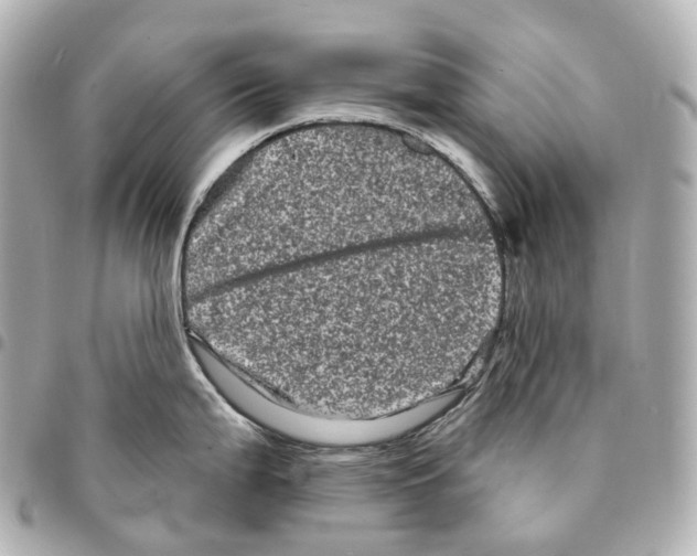 X0000094961199200712271713