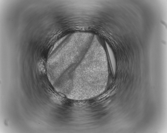 X0000094961202200712271712