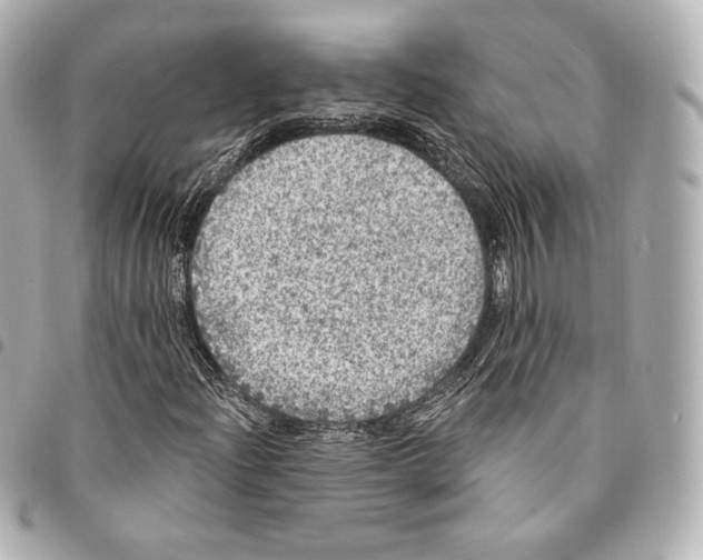 X0000094961204200712271712