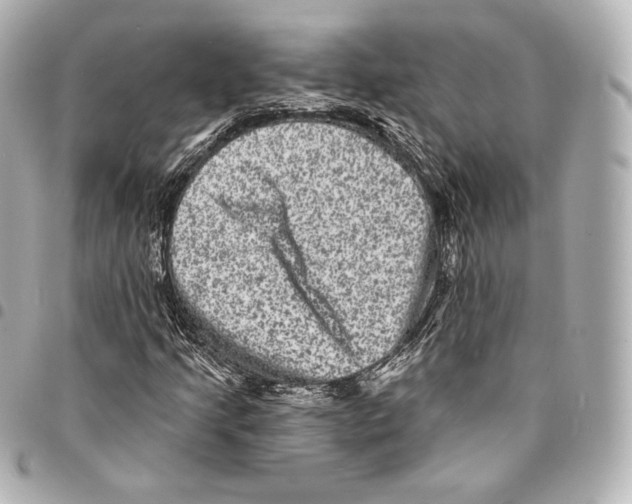 X0000094961205200712271712