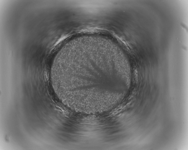 X0000094961206200712271712