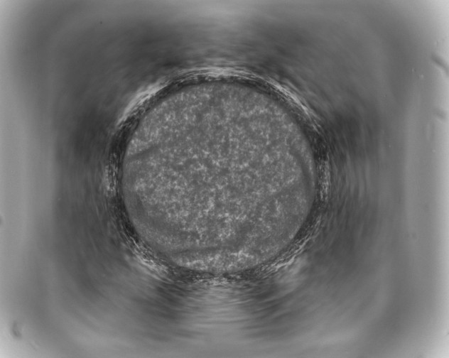X0000094961207200712271712