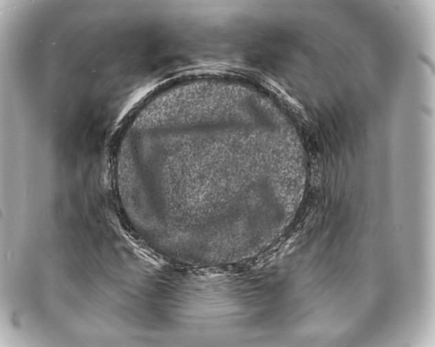 X0000094961208200712271712
