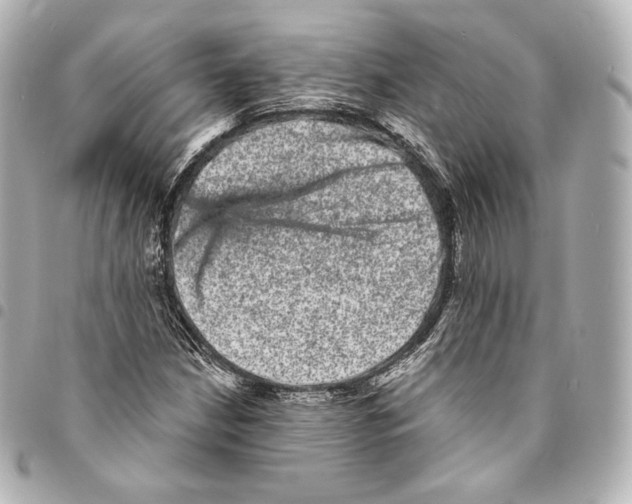 X0000094961210200712271712