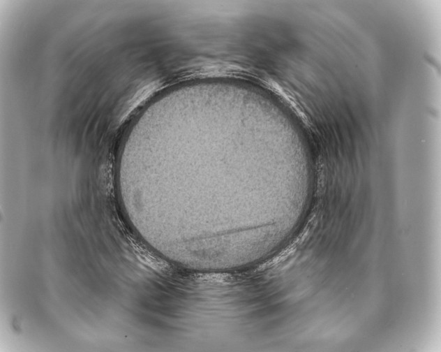 X0000094961211200712271712