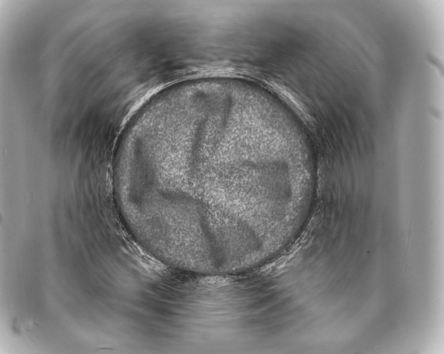 X0000094961212200712271712