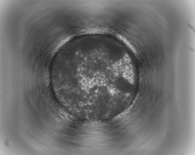 X0000094961213200712271712